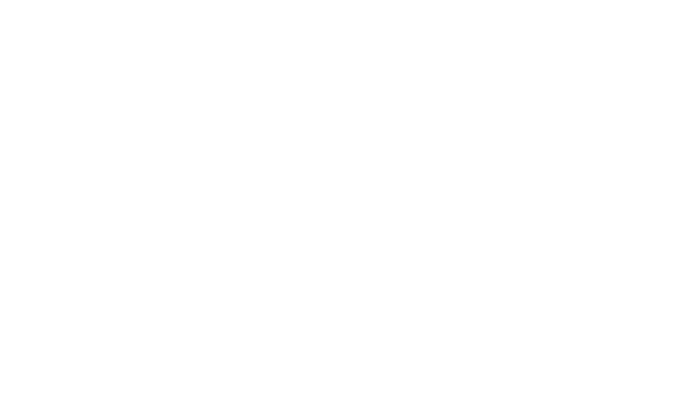 airport company.png
