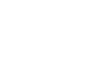 STL-Group-LOGO-png-300x300.png