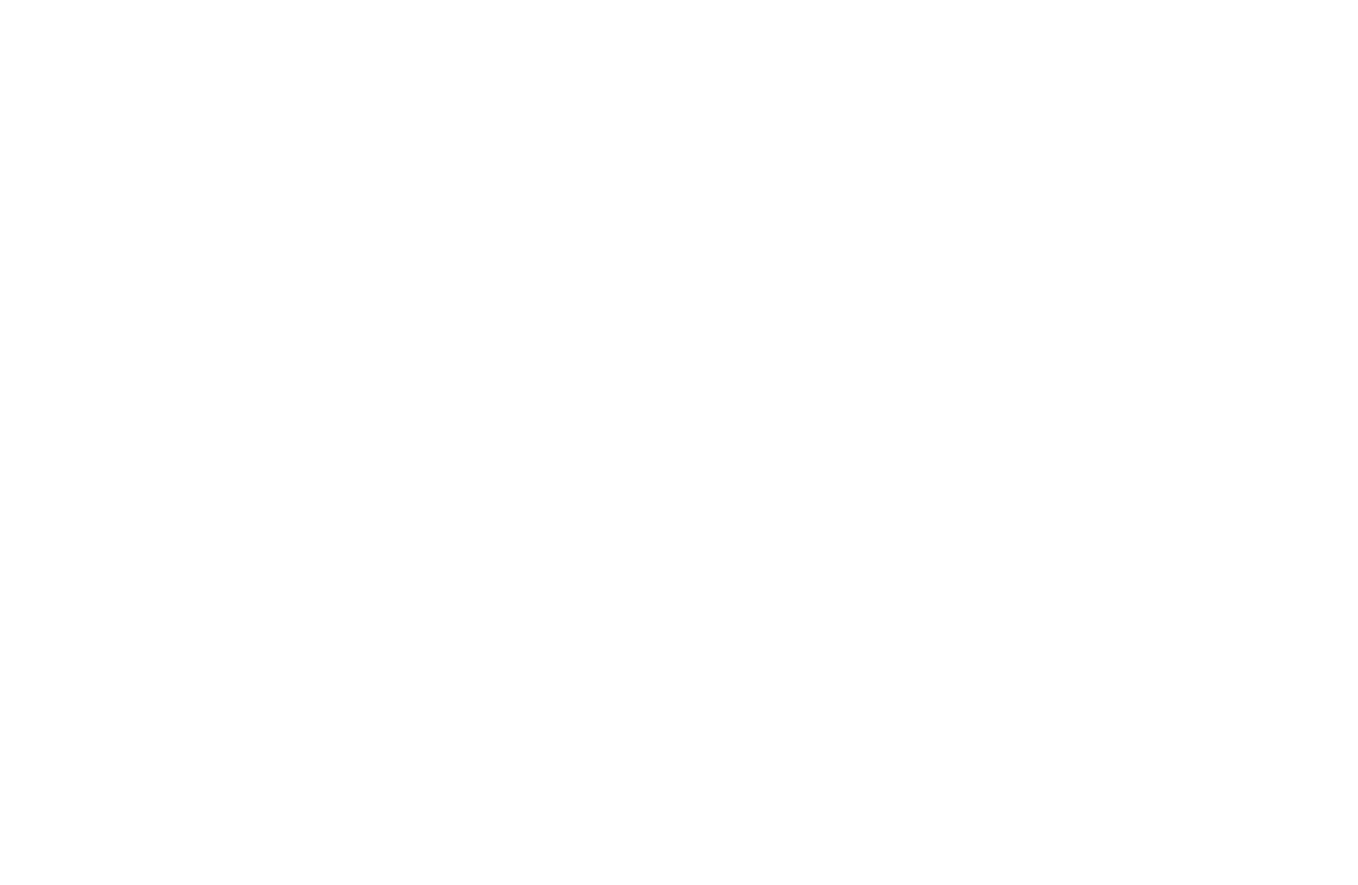 project ten.png