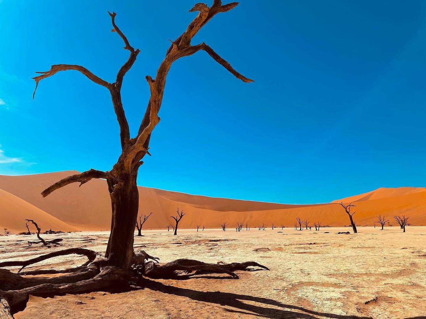 I&rsquo;ve been dreaming of visiting Deadvlei in Sossuvlei ever since I picked a camera to shoot and create. Being there in spirit and body felt absolutely magical and unbelievable. This spot is definitely a must visit for every adventurer. #InsideNa