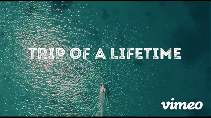 twitter trailer.mp4-high.gif