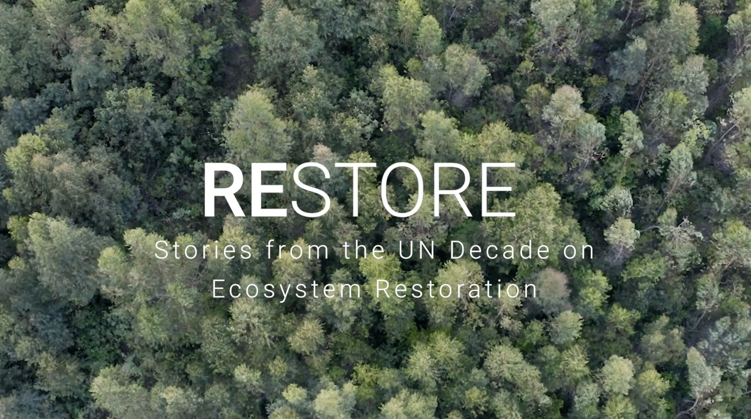 UNEP Restore Big Ocean States UN Decade for Restoration