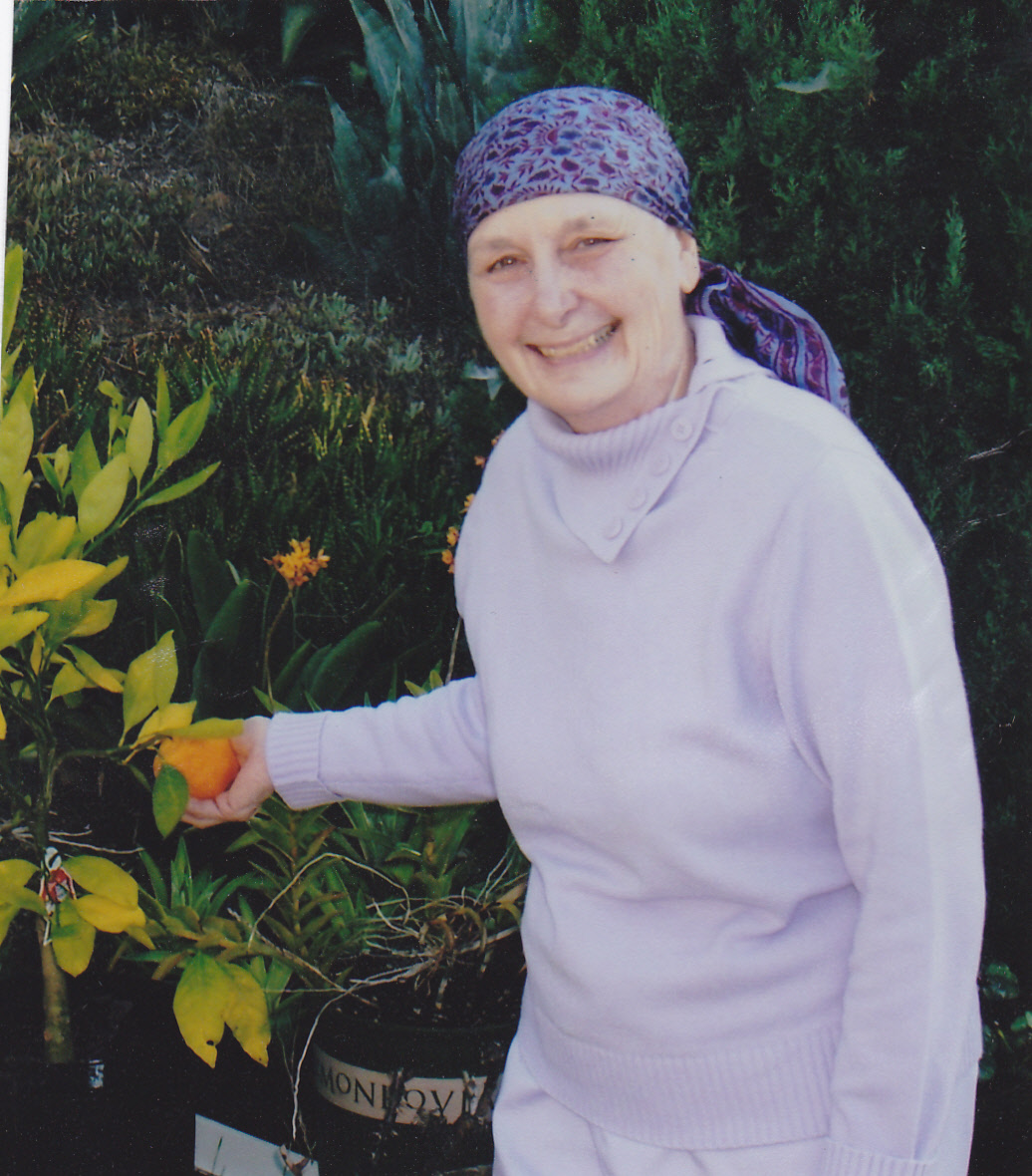 Mary Jo picking pears after completing chemotherapy.
