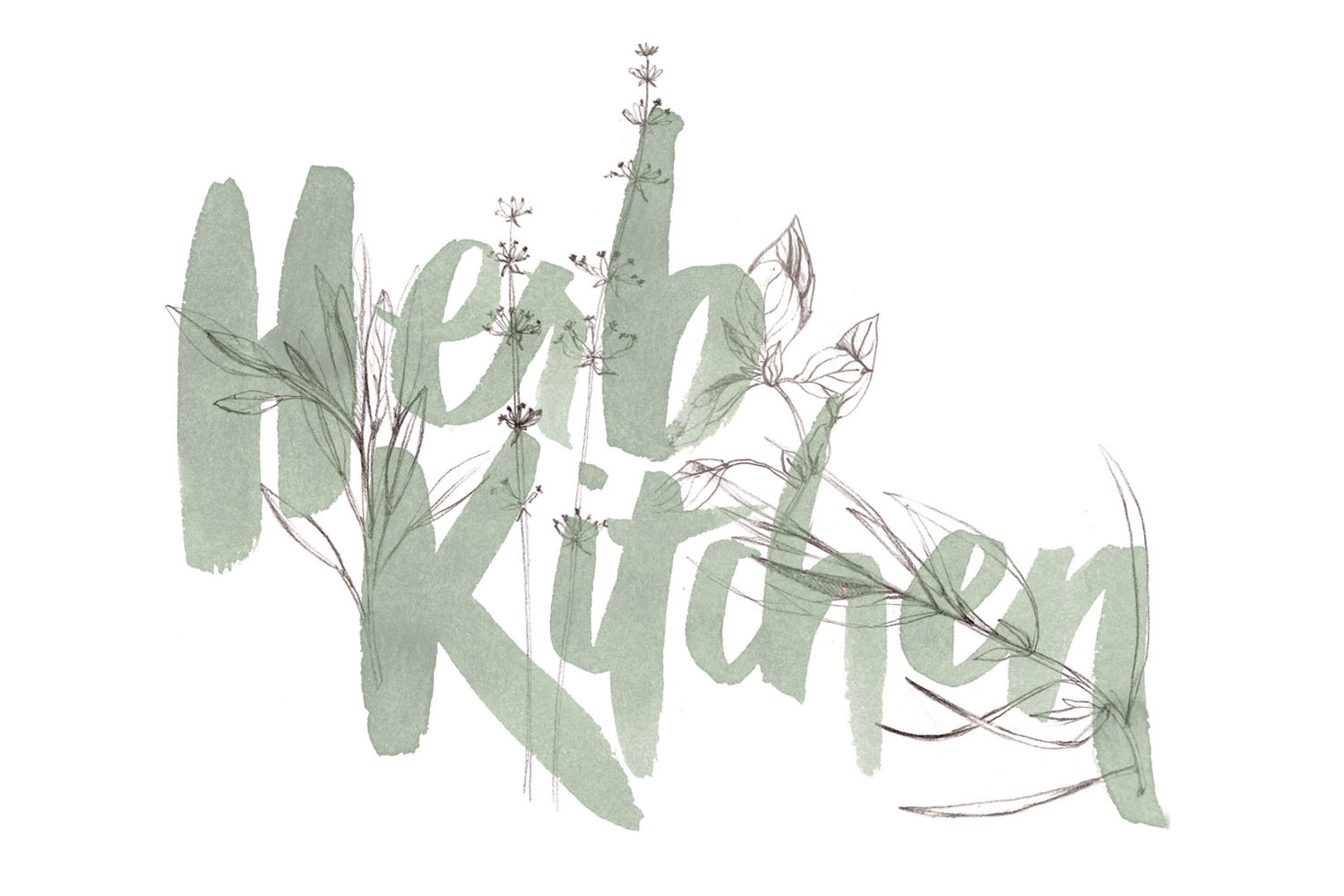 lettering-botanical-illustration-by-Erin-Ellis_Herb-Kitchen-1.jpg