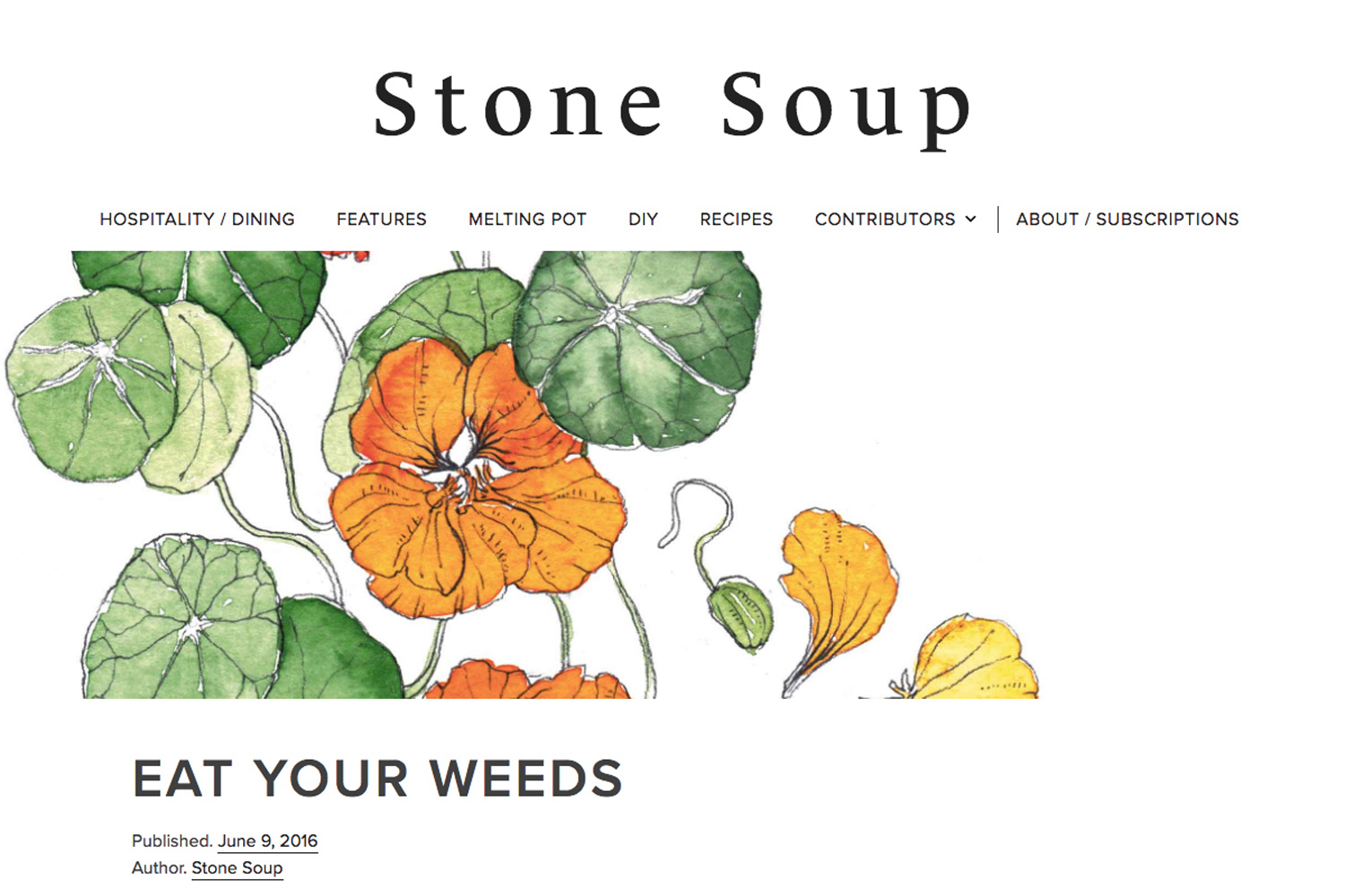 Erin-Ellis-watercolor-botanical-illustration-for-Stone-Soup-Syndicate.jpg