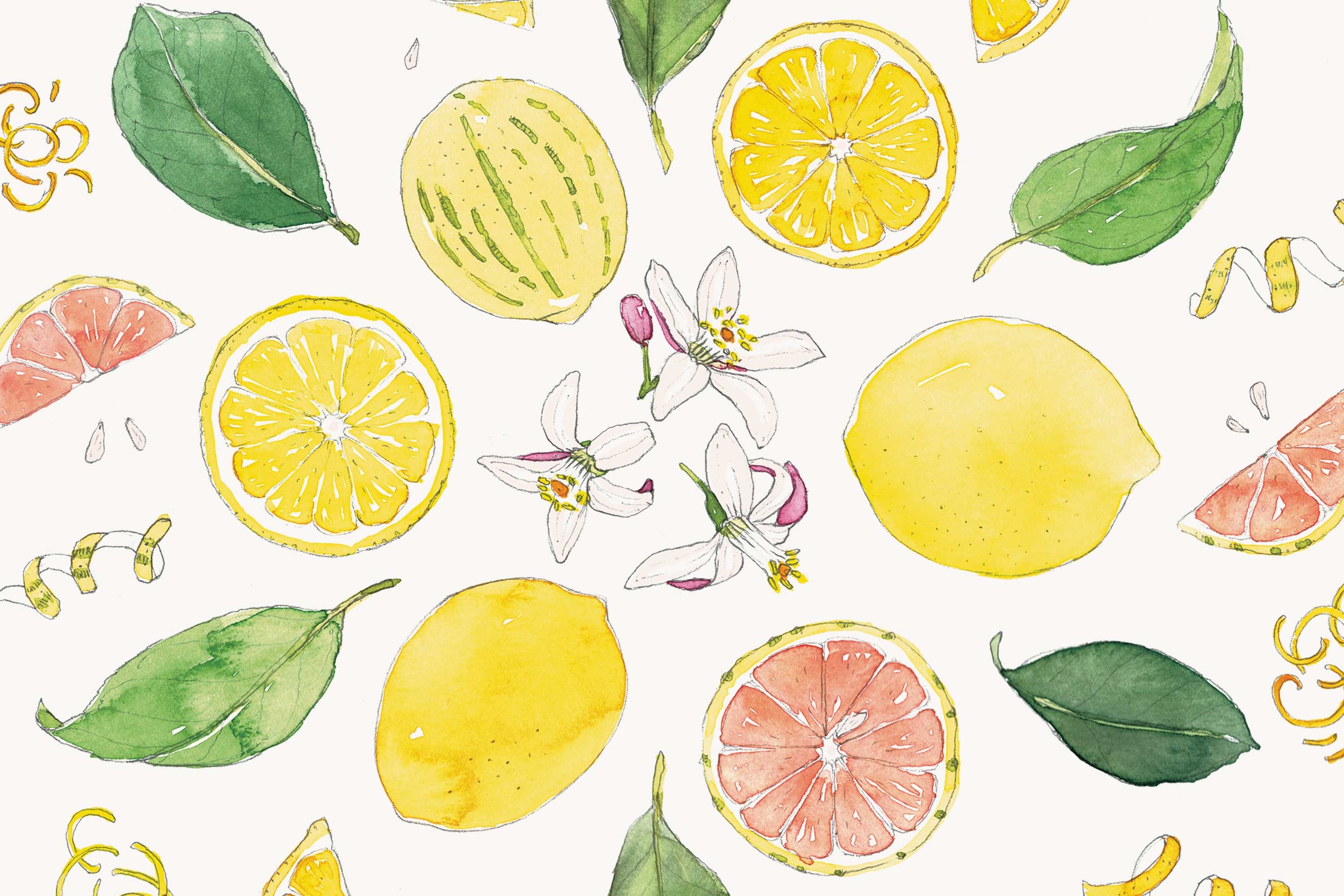 Lemons-mandala-illustration-by-Erin-Ellis-Tampa-Bay-Times-Taste.jpg