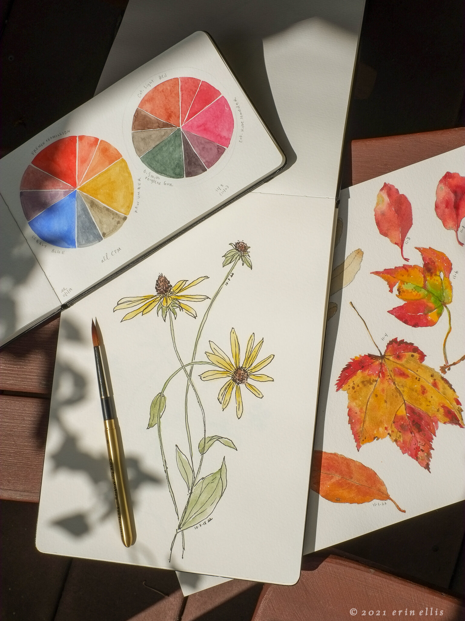 Botanical Studies in Color *new course* at Grounds for Sculpture