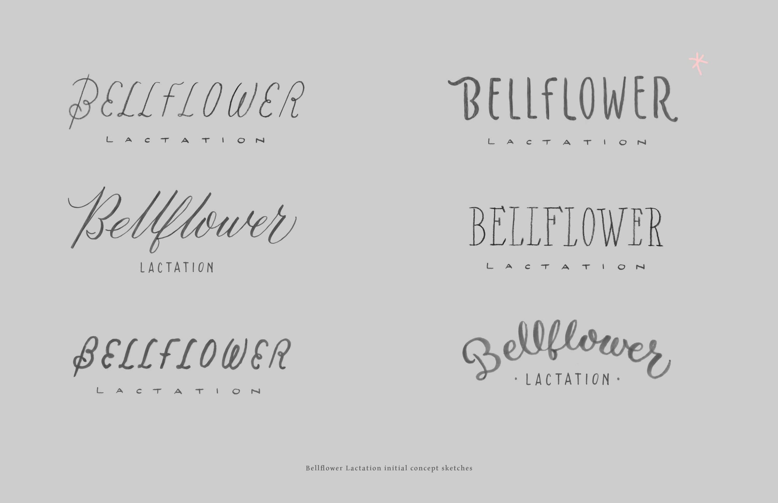 erinellis_bellflower-lactation-sketches1.jpg