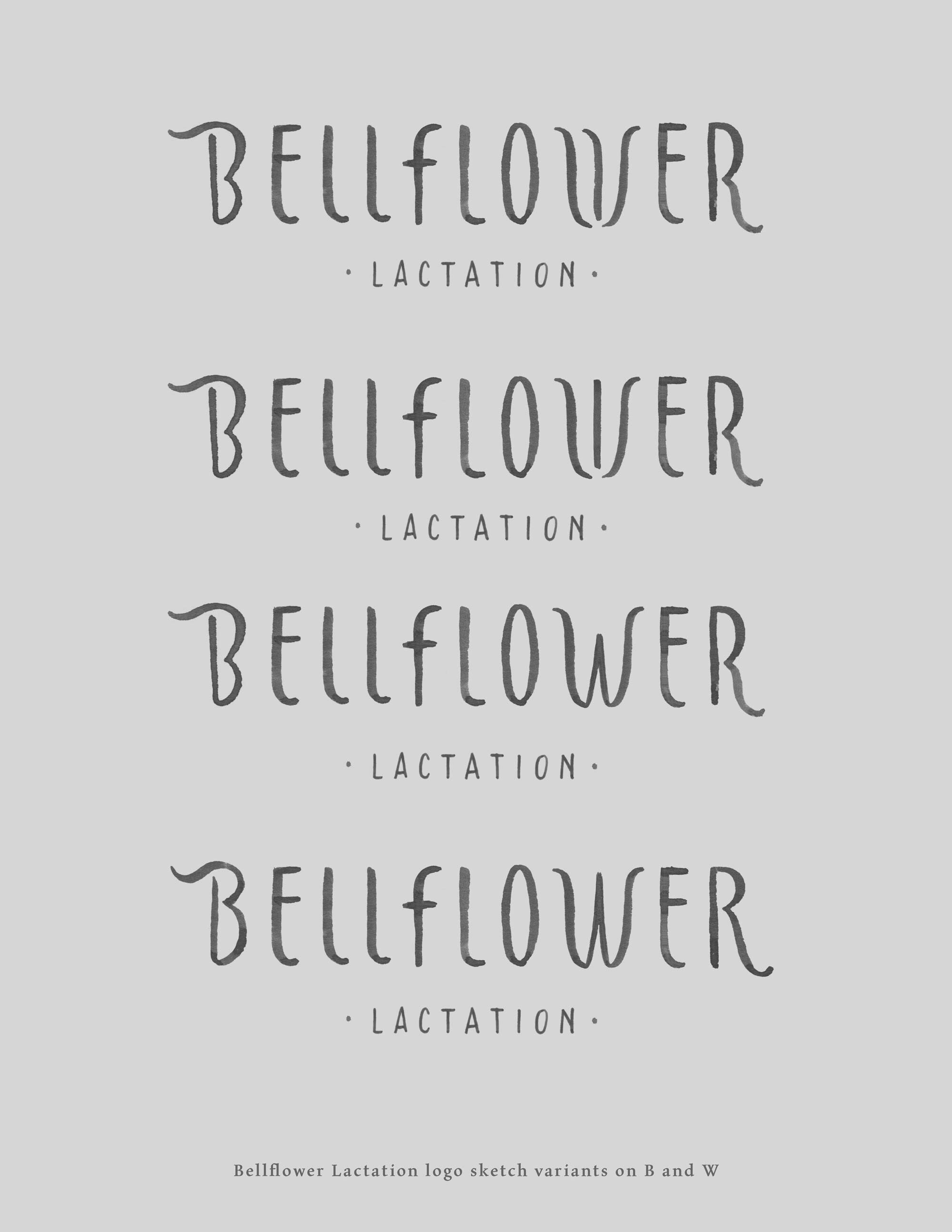 erinellis_bellflower-logo-sketches1.jpg