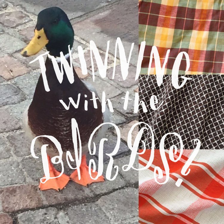 twinning-duck.jpg