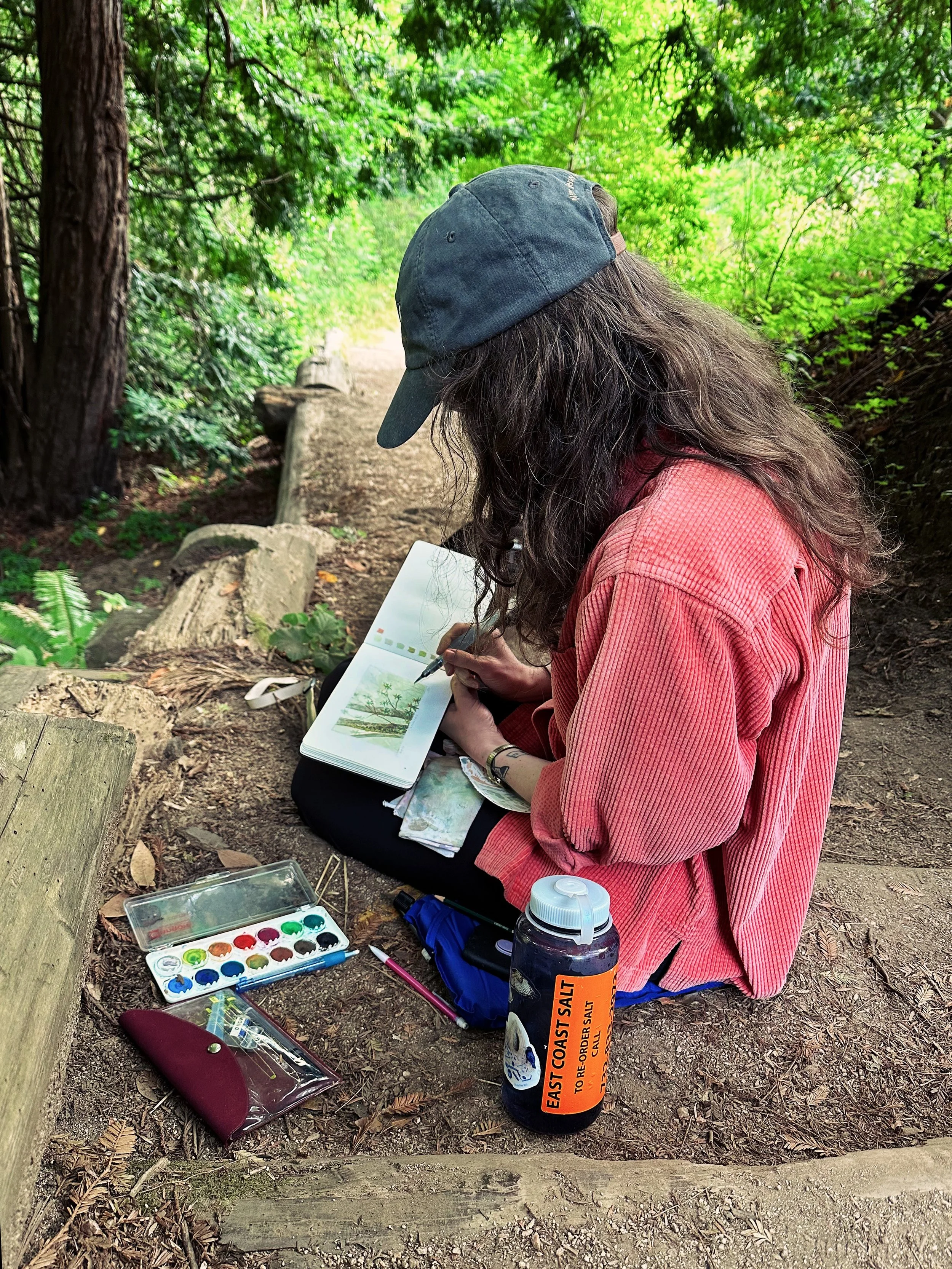 Field Sketching: The Art and Science of Drawing Plants