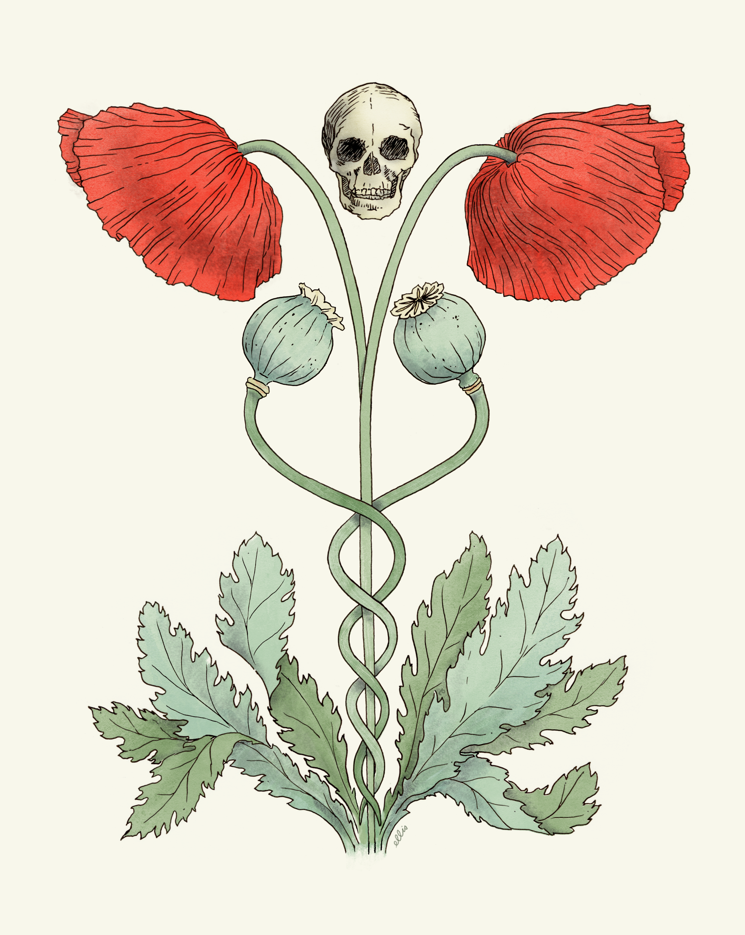 opium-poppy-caduceus-conceptual_ellis.png