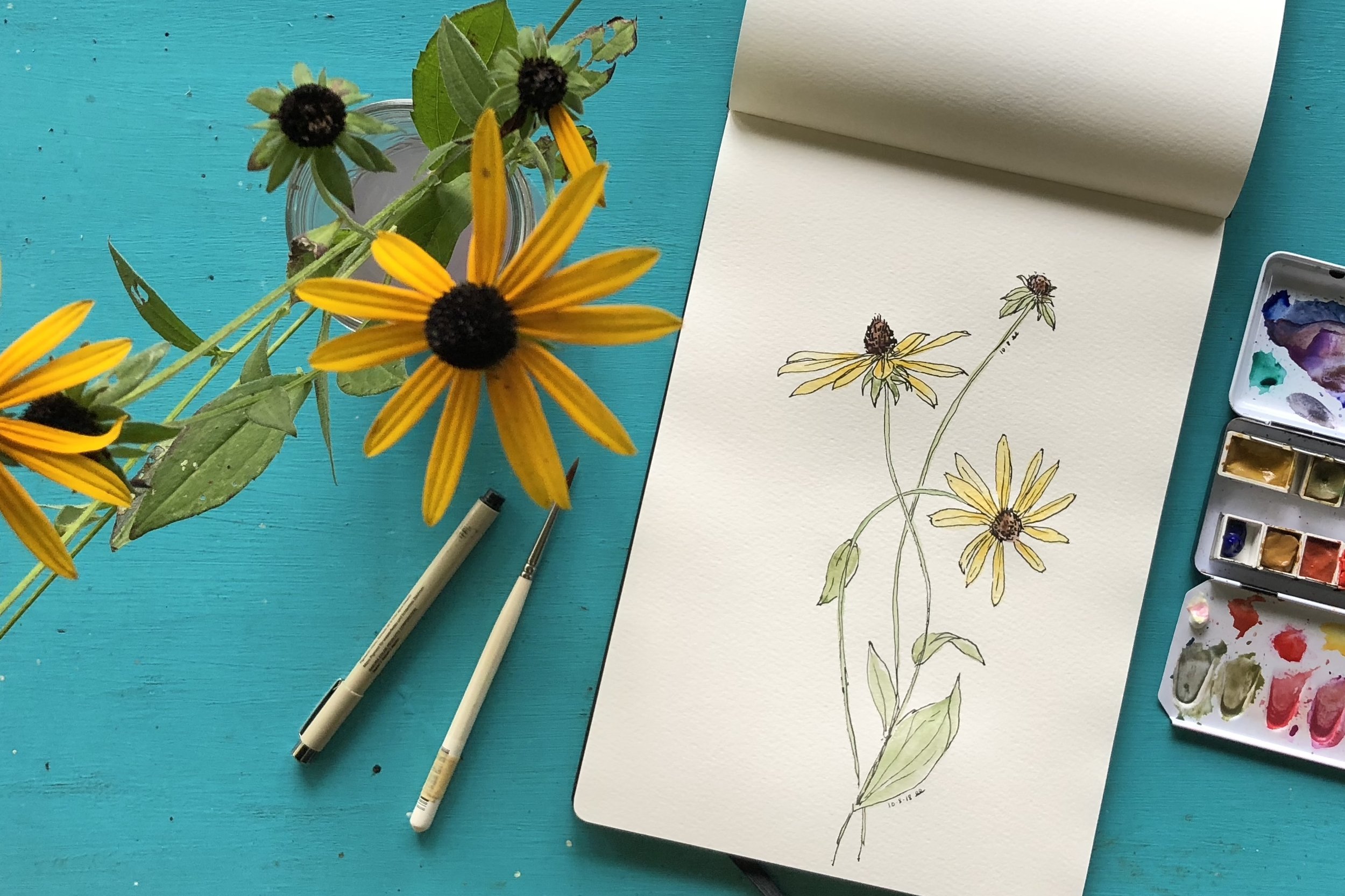 Botanical Art with Native Plants