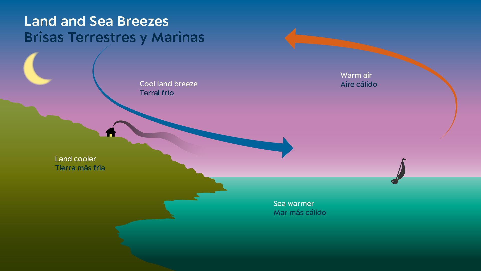 Erin Ellis_Monterey Bay Aquarium-all-04-B.png