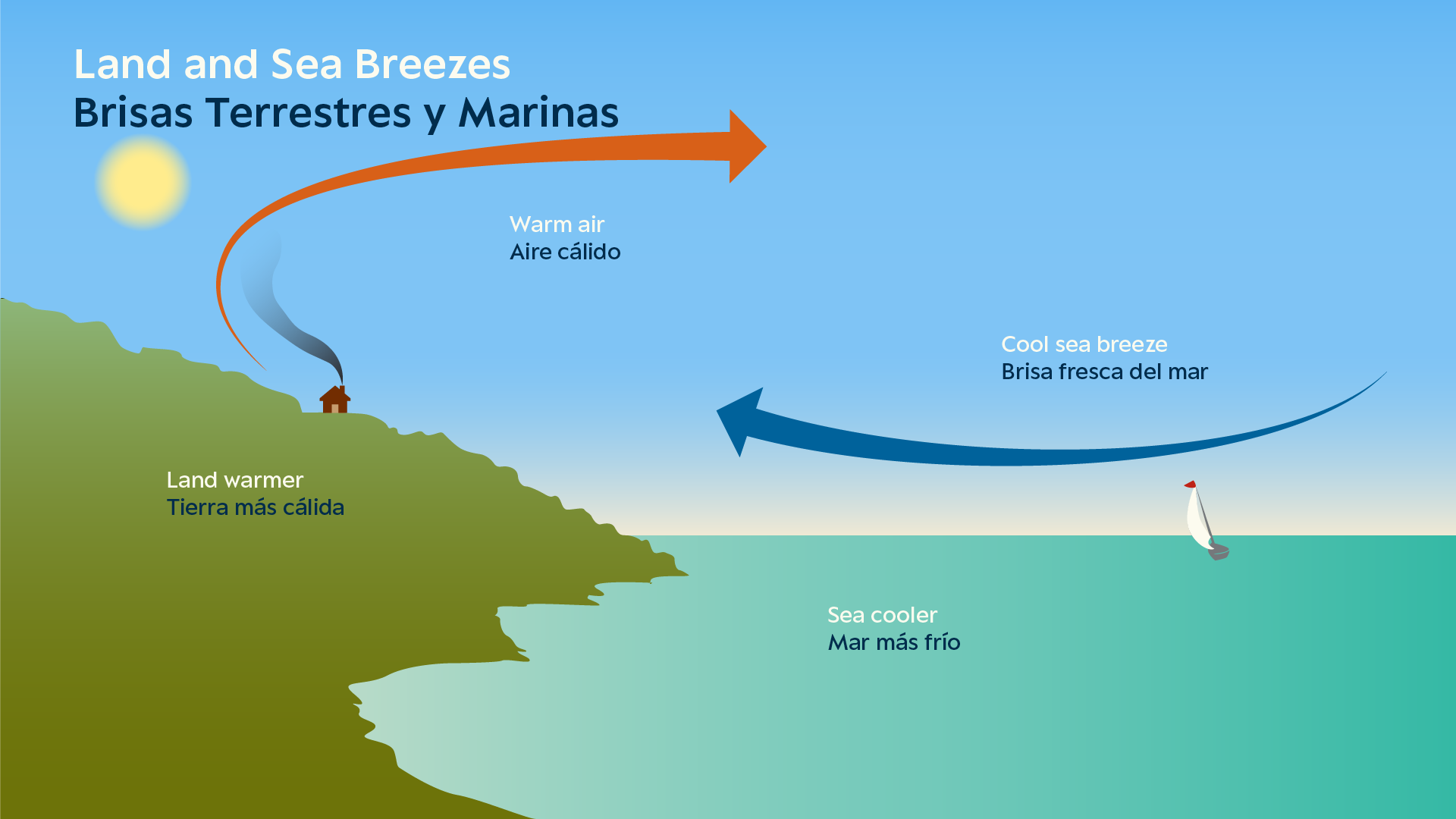Erin Ellis_Monterey Bay Aquarium-all-04.png