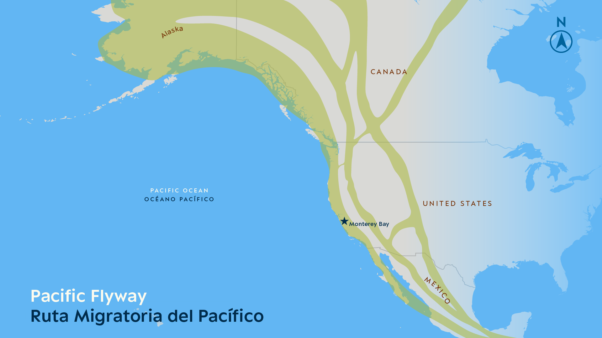 Erin Ellis_Monterey Bay Aquarium-all-07.png