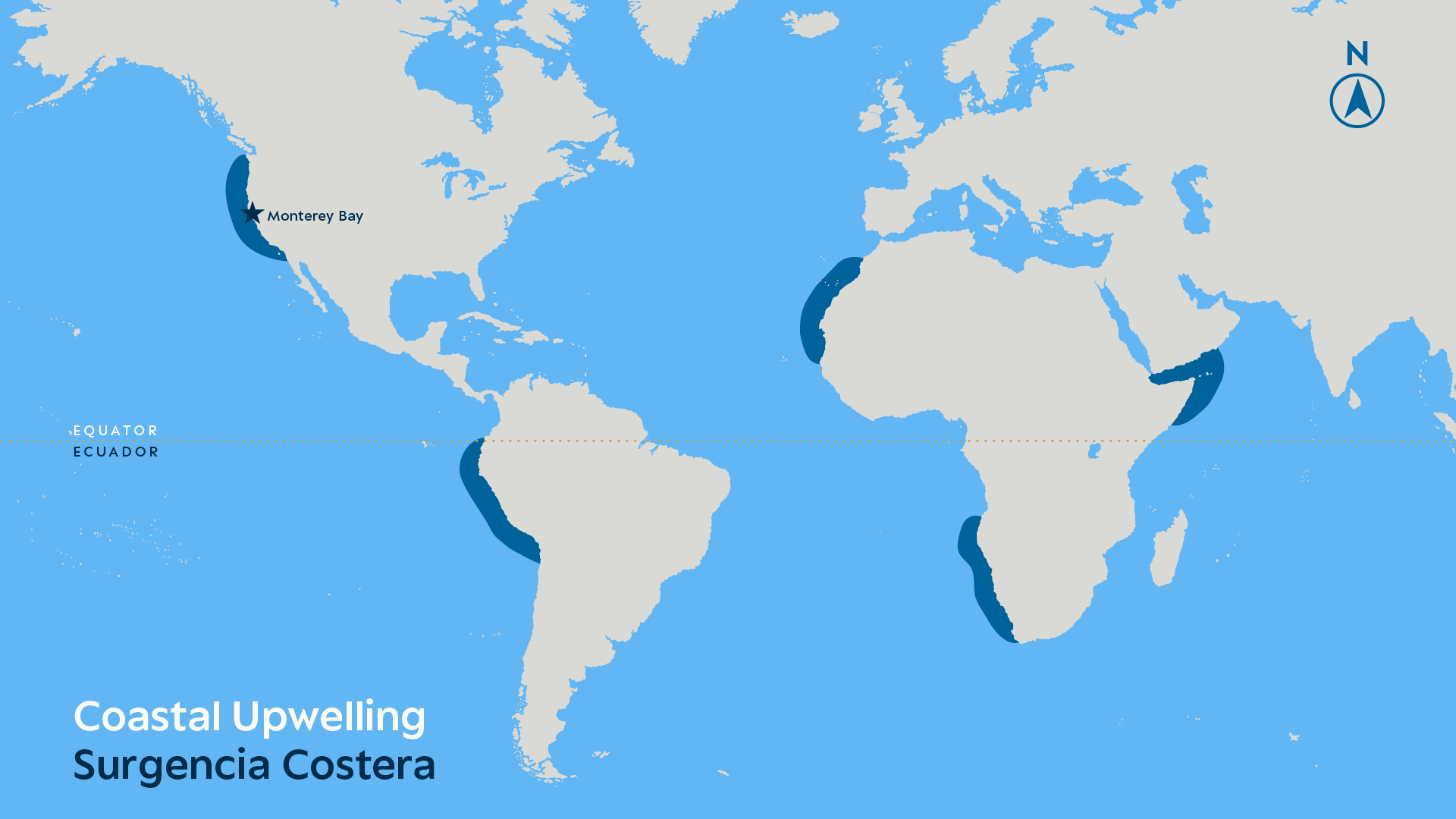 Erin Ellis_Monterey Bay Aquarium-all-11.png