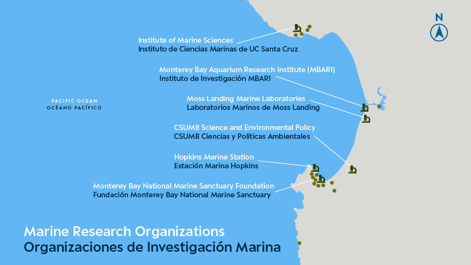 Erin Ellis_Monterey Bay Aquarium-all-16.png