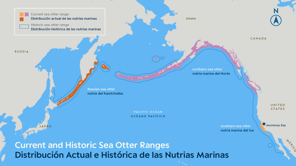 Erin Ellis_Monterey Bay Aquarium-all-19.png