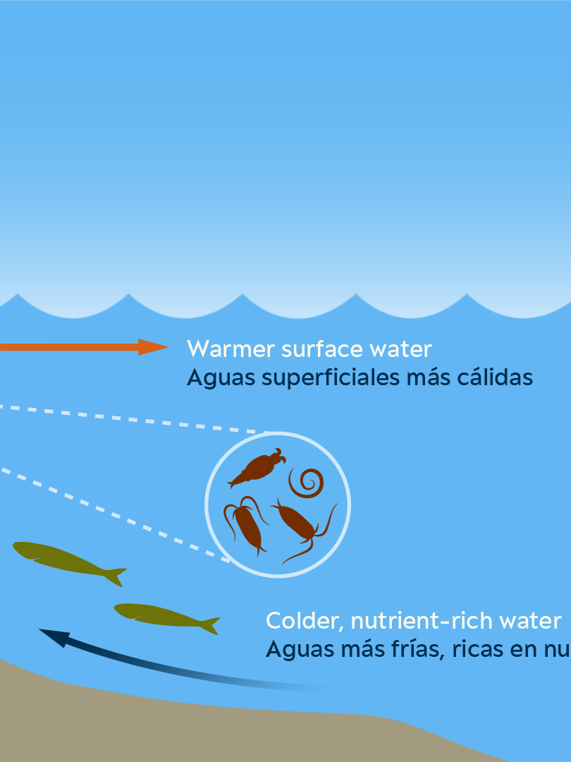 Erin Ellis_Monterey Bay Aquarium-all-06.png