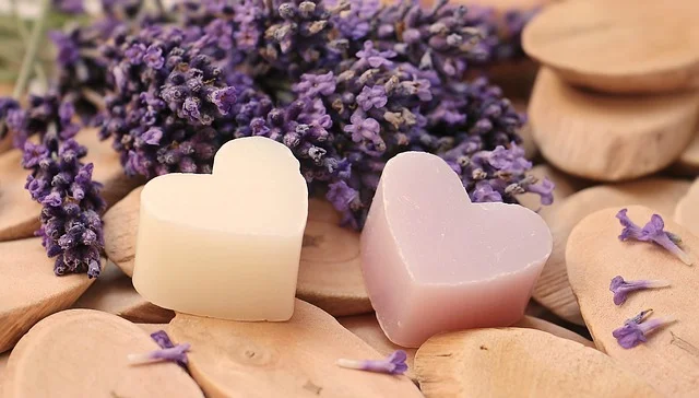lavender-2443210_640.jpg