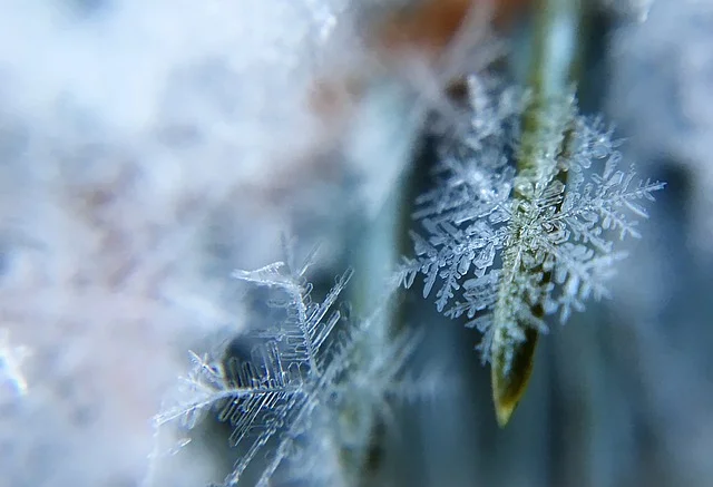 frost-1209402_640.jpg