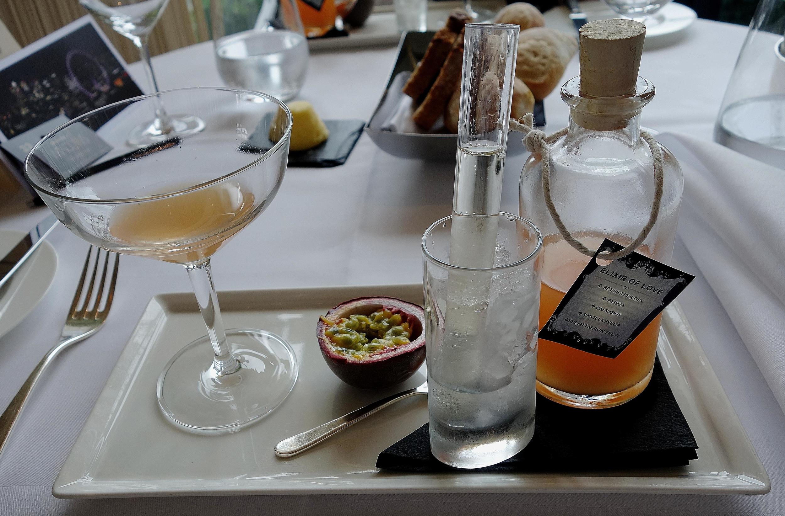 Elixir of Love