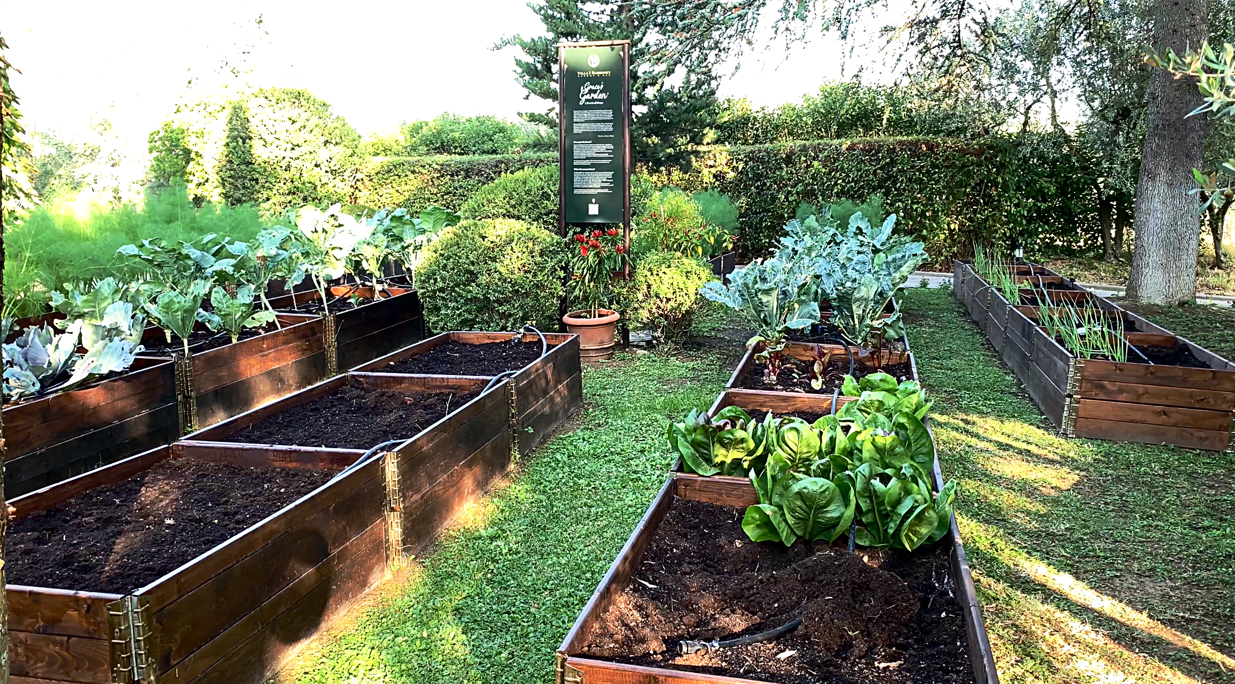  The hotel’s kitchen garden. We savoured some produce from here both nights we ate in the restaurant.  