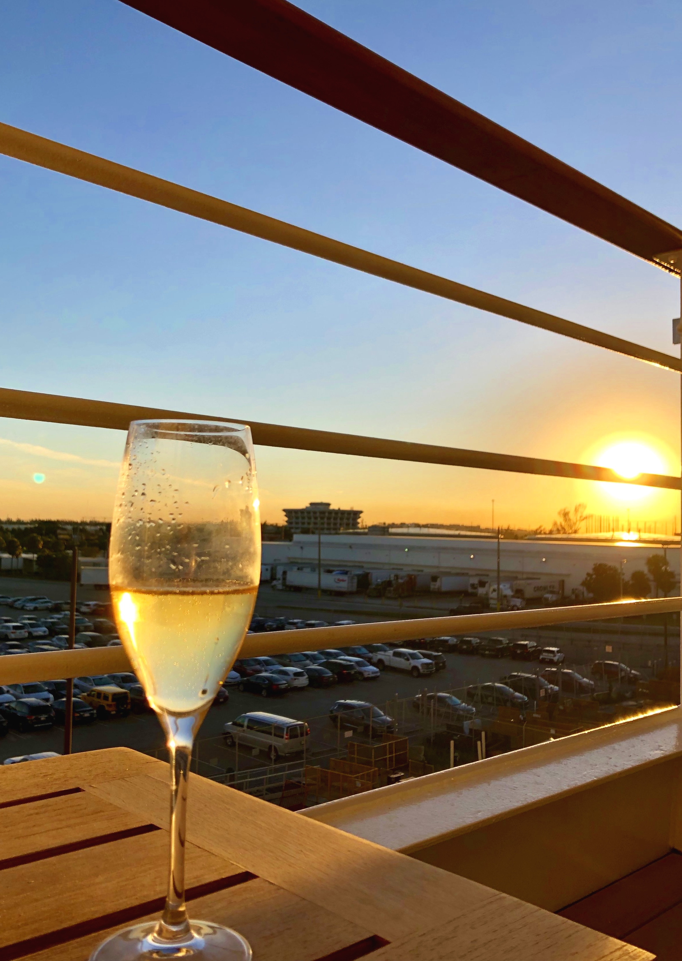 Pre-sailaway champagne on our balcony.