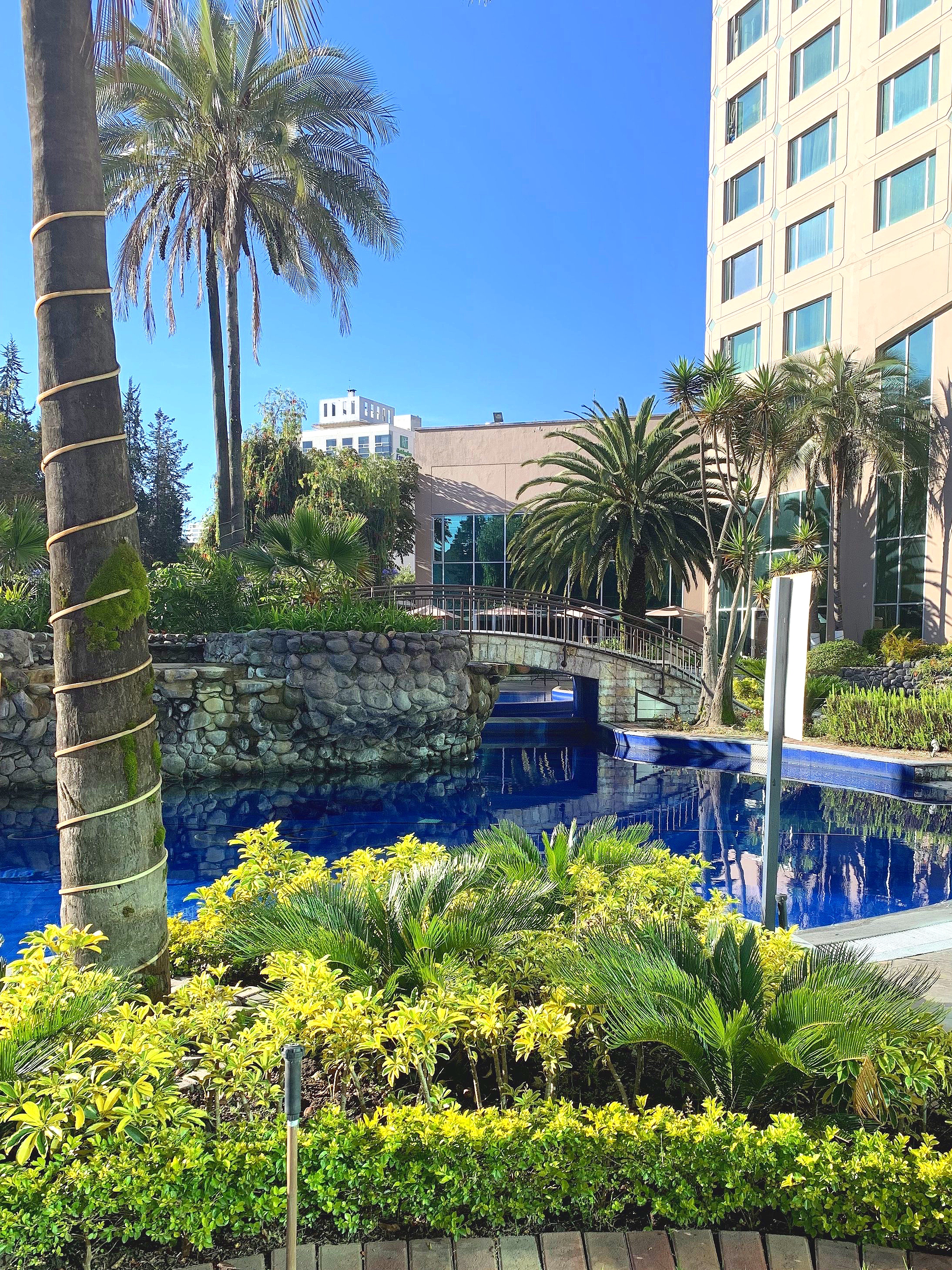  The inviting looking outdoor pool. 