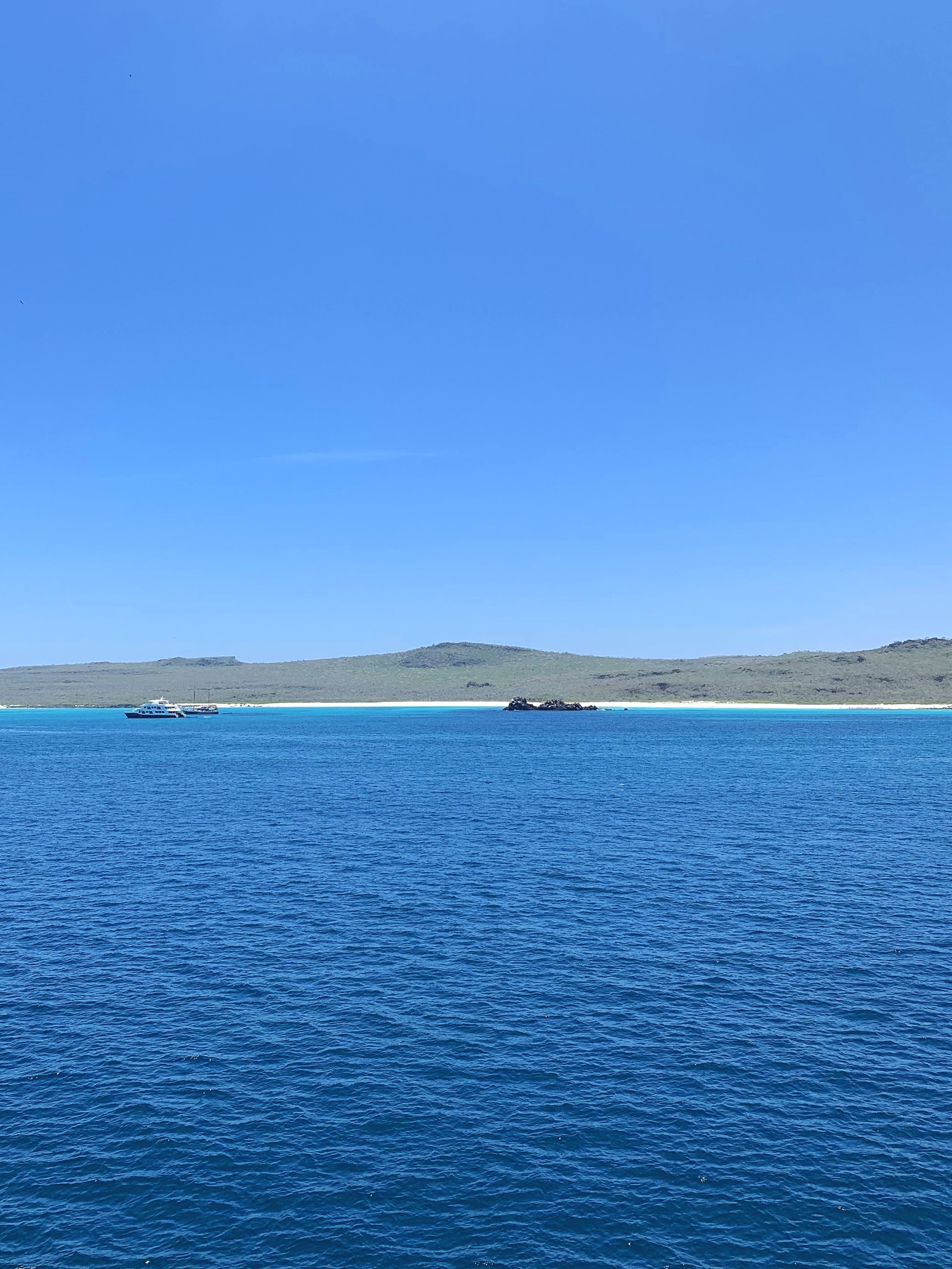  Gardner Bay viewed from the ship. 