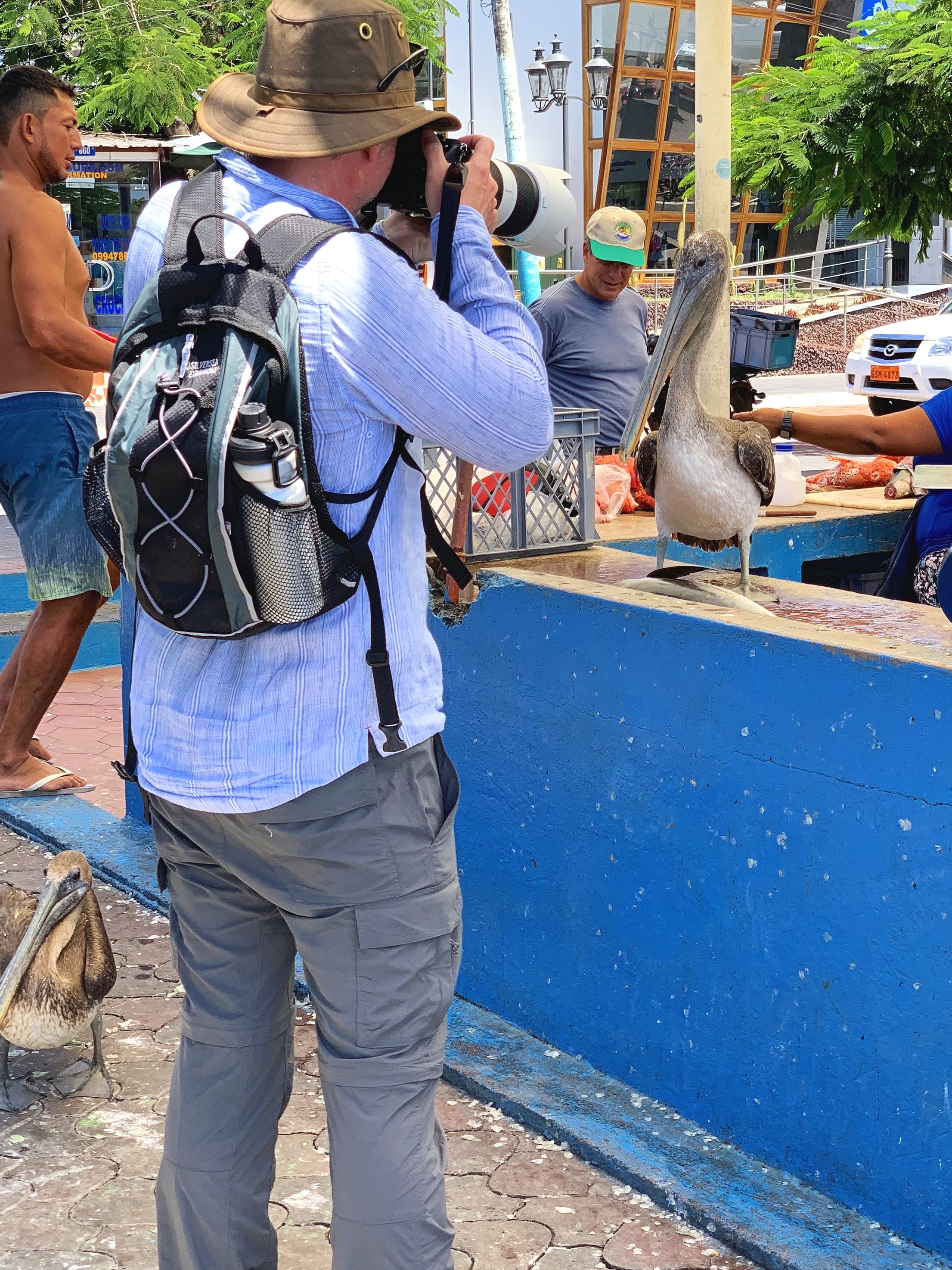  Up close and personal with the local pelicans.  