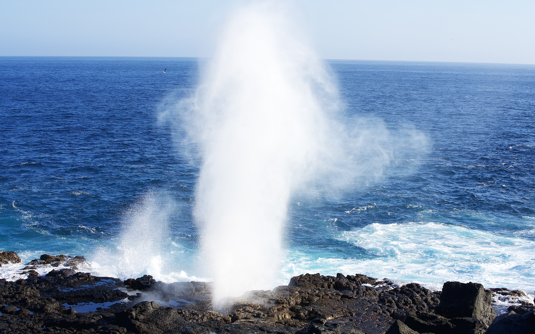Mesmerising blow hole.