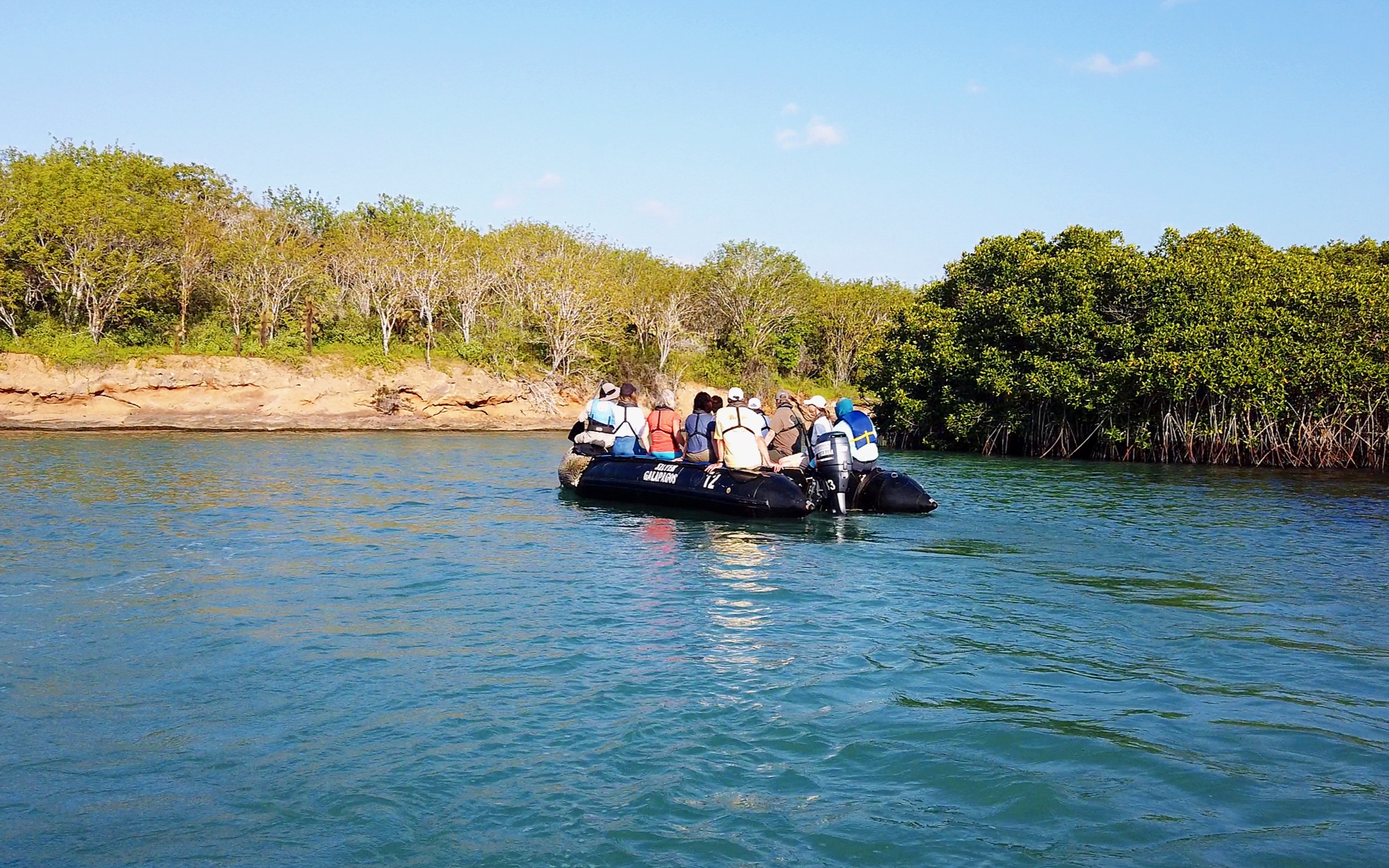 This afternoons zodiac cruise around the mangrove lagoons - a nursery for baby sharks.