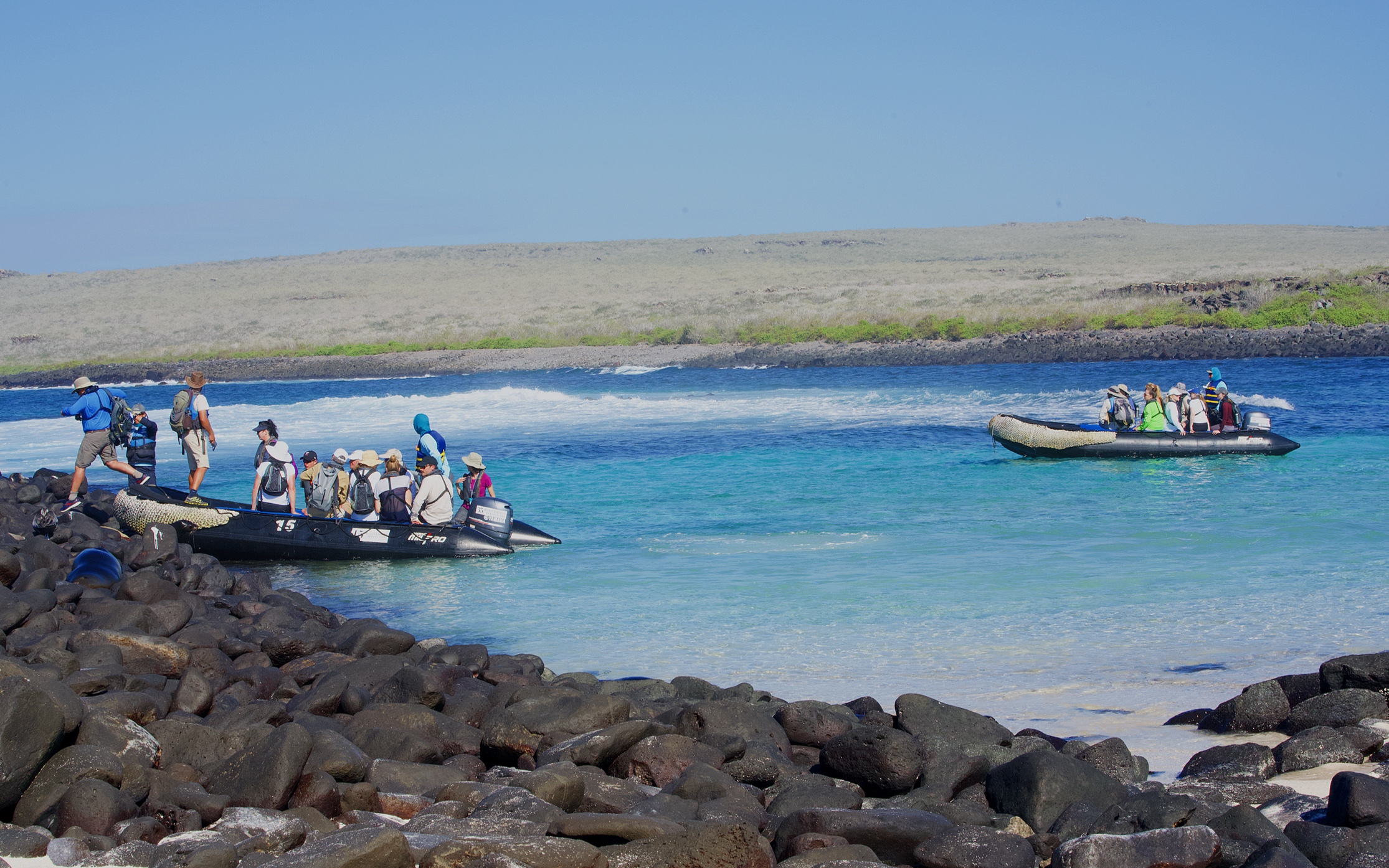 Our zodiacs arriving at Punta Suarez.