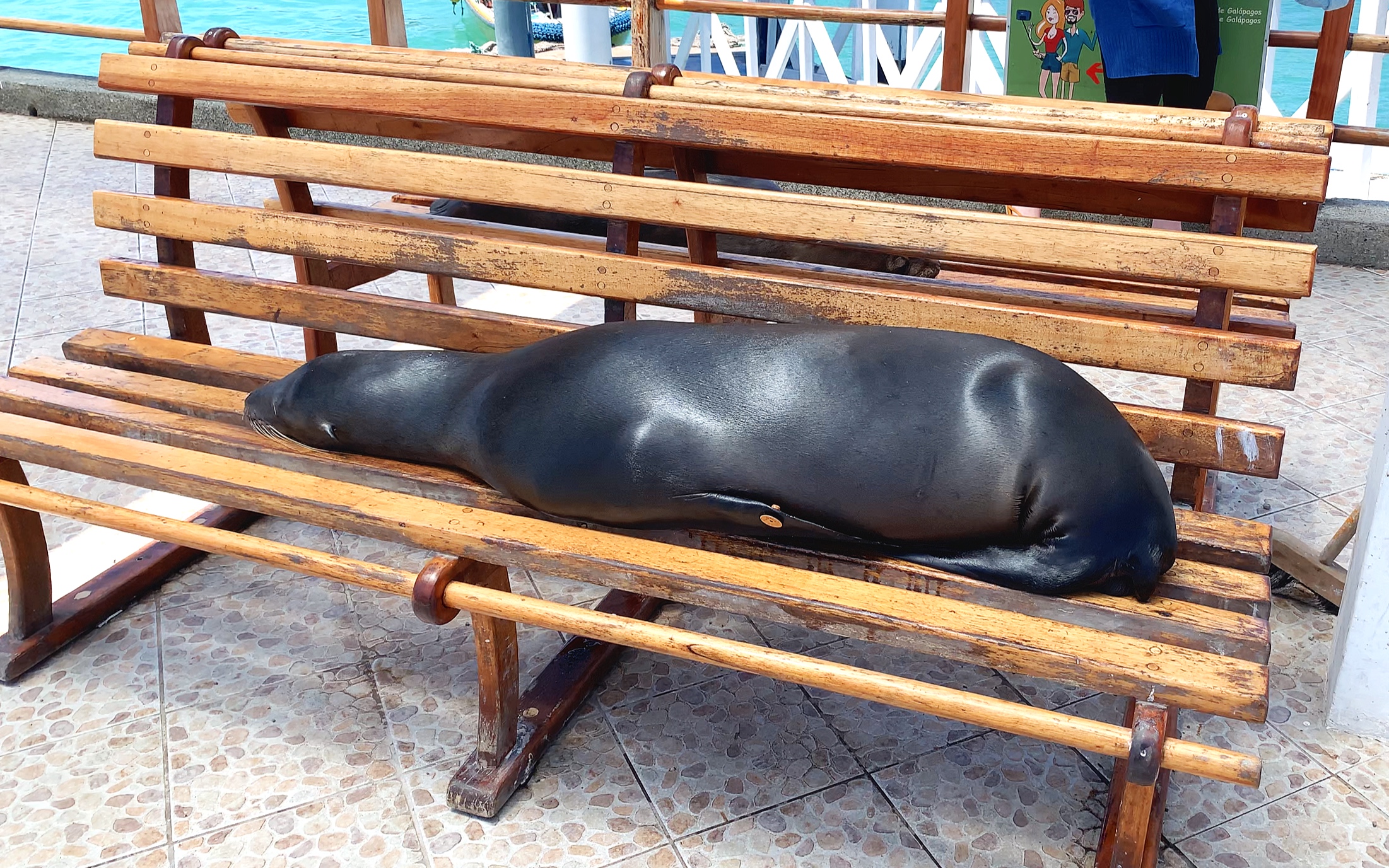 No place to rest for us mere humans.