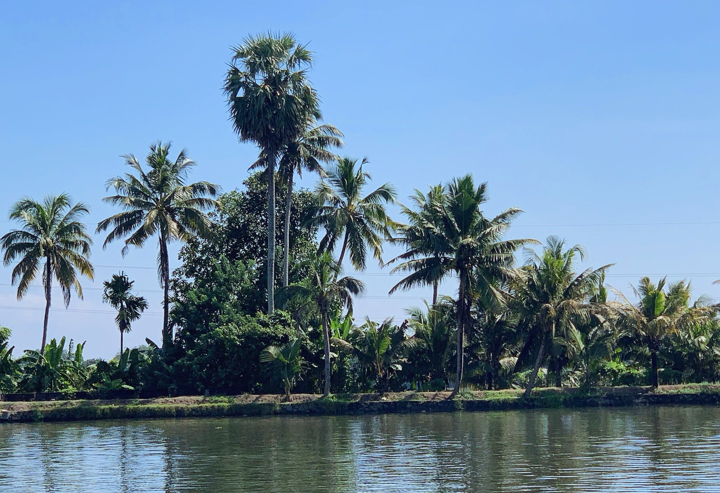 The beautifully serene backwaters....