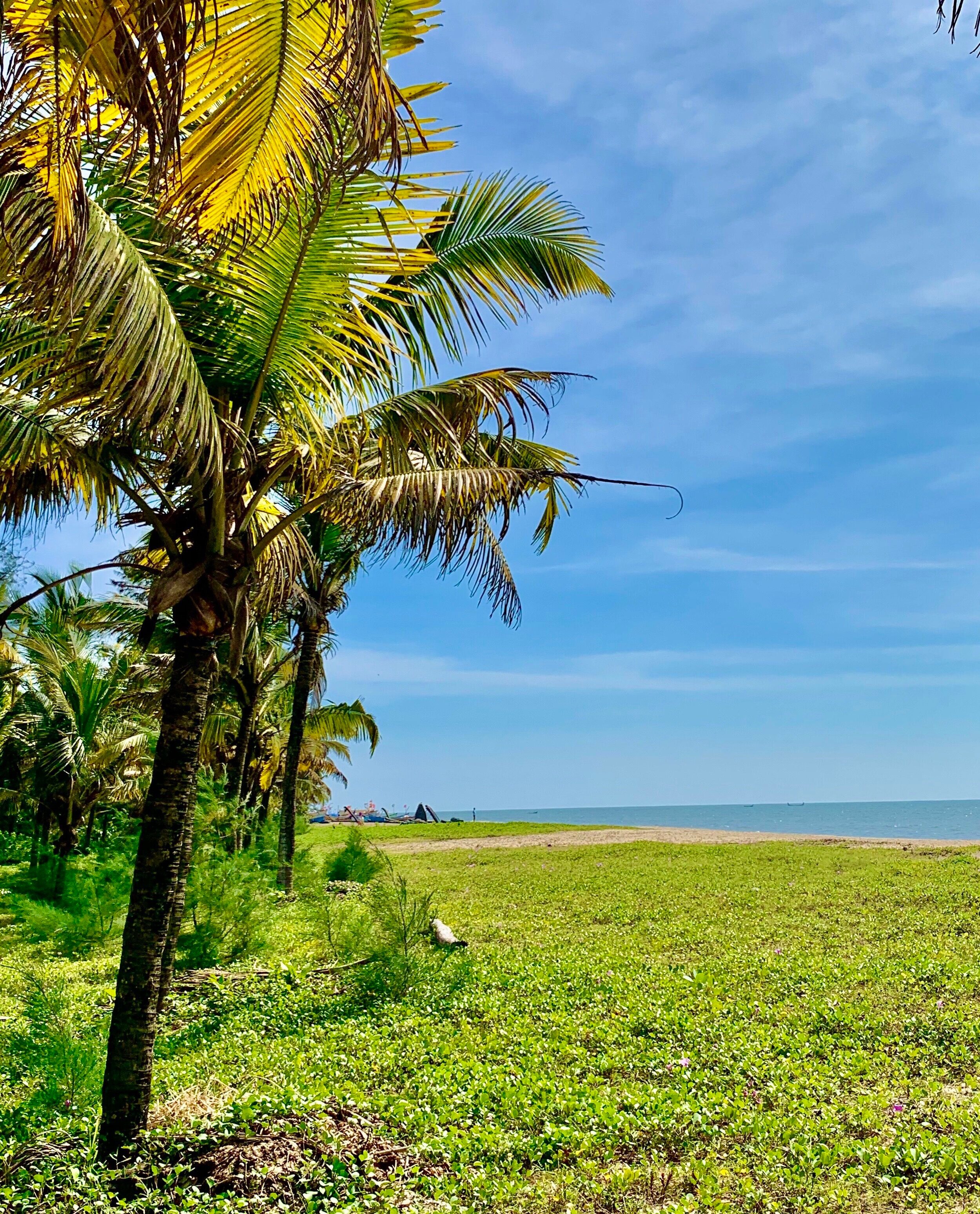 Keralan coast. 