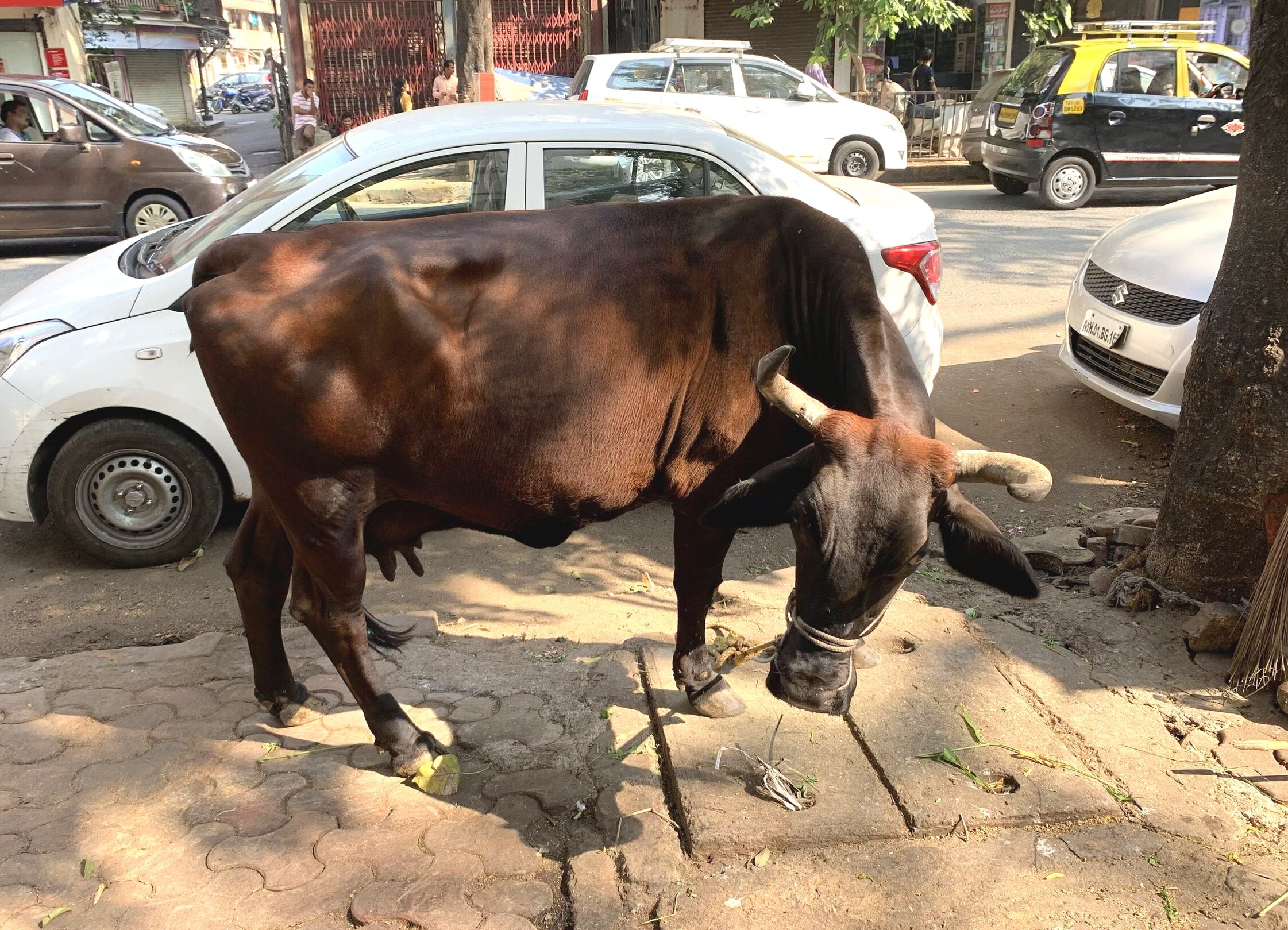 On the streets of Mumbai. 