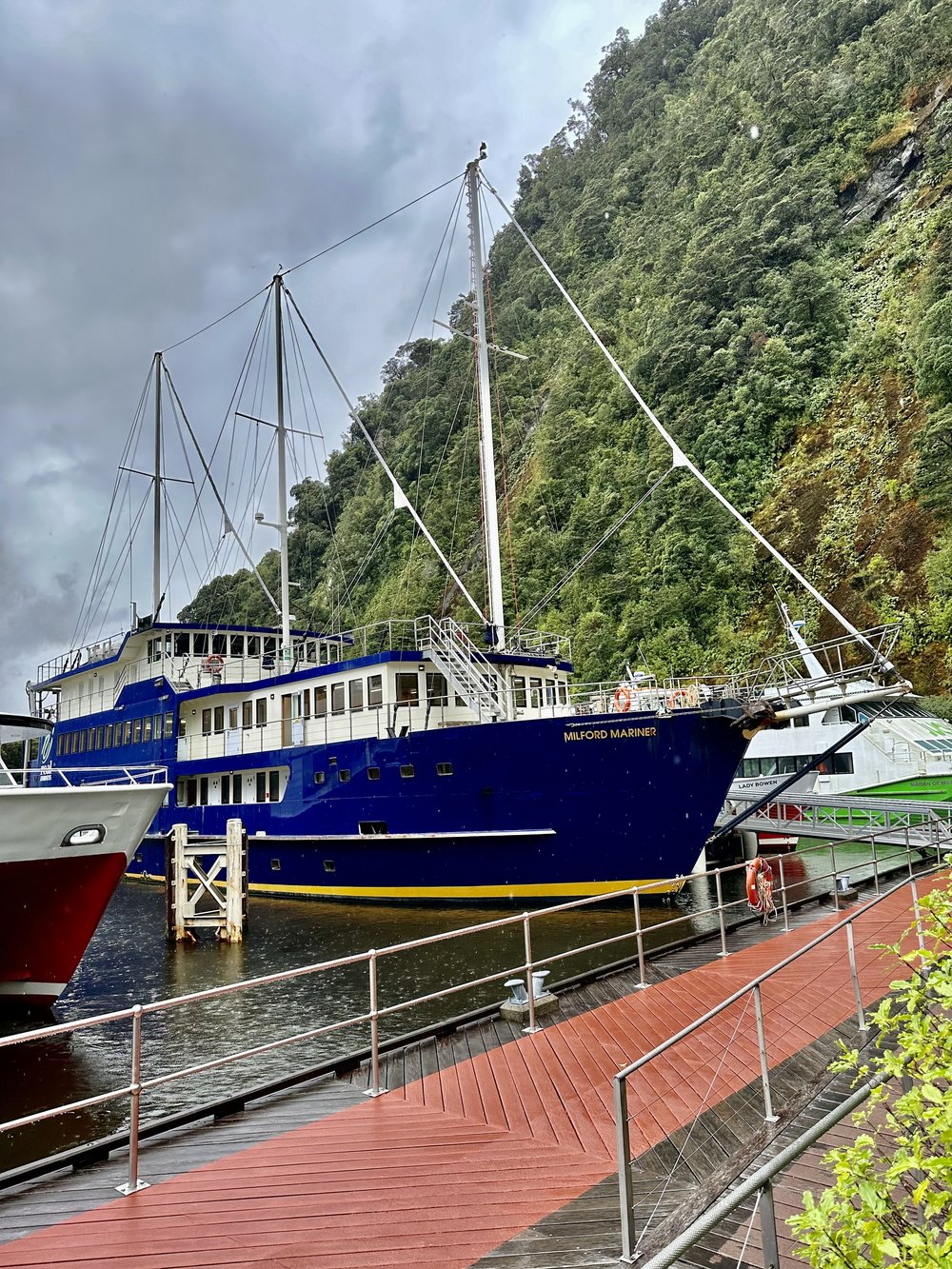 Our Milford Sound cruiser