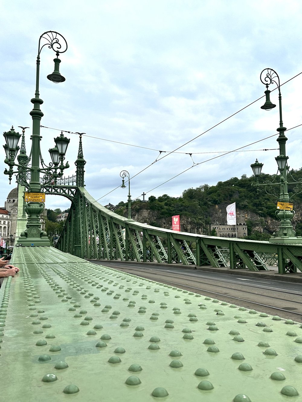 The beautiful Liberty bridge