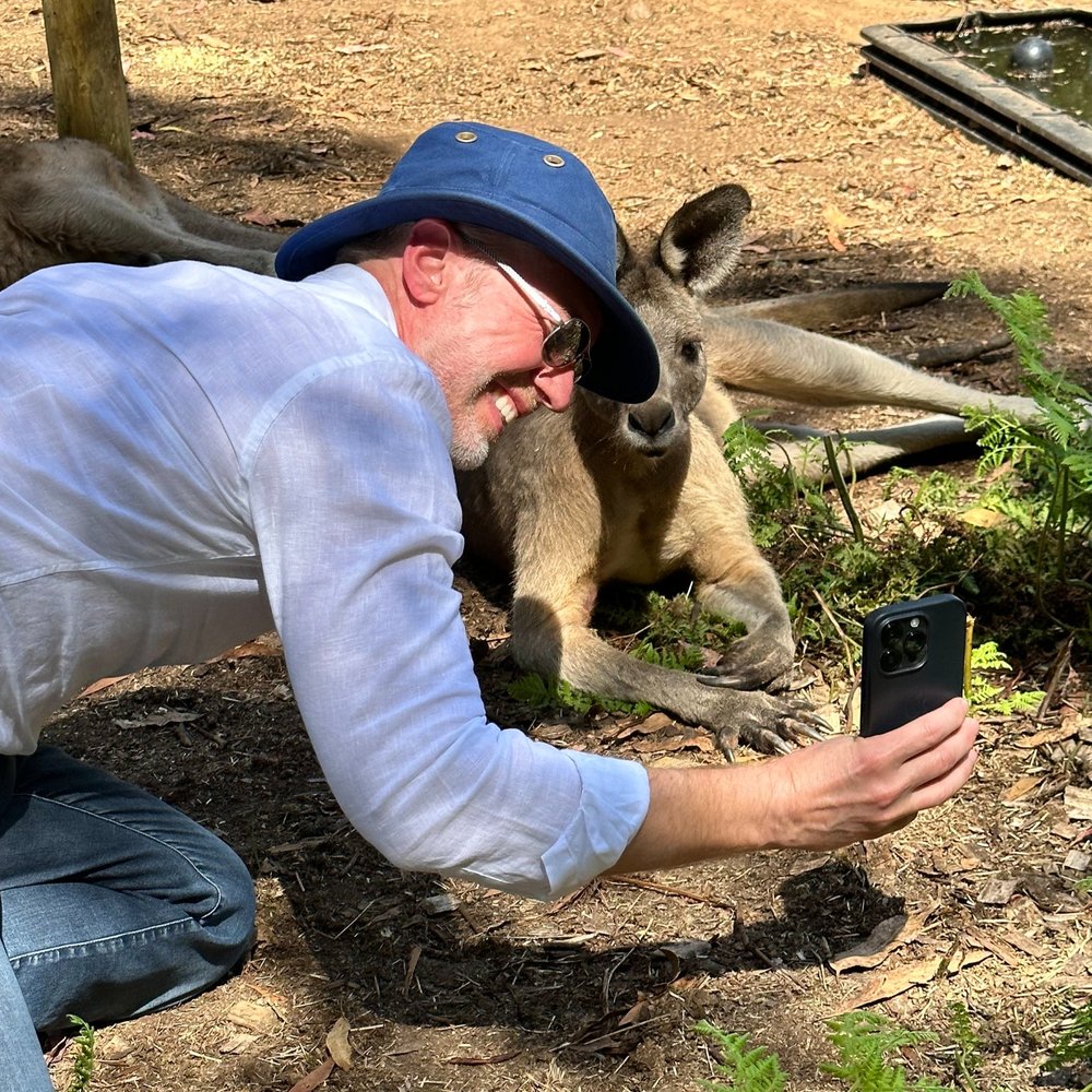 Kangaroo selfies