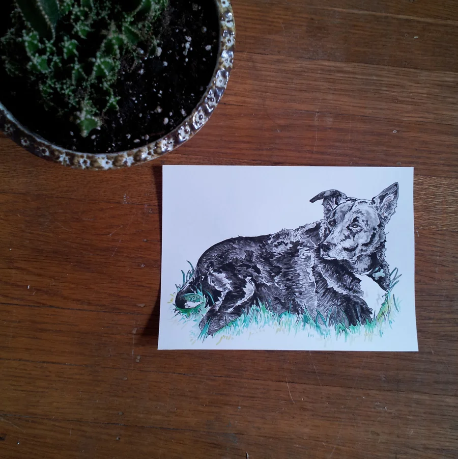 black dog.jpg
