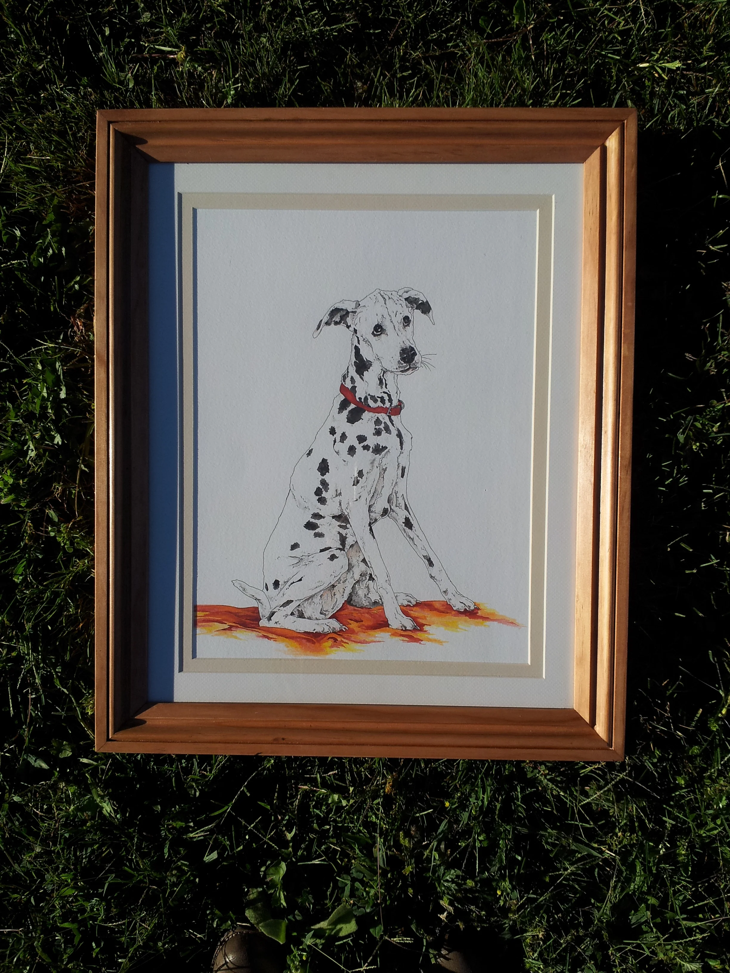 20130905_175517.jpg
