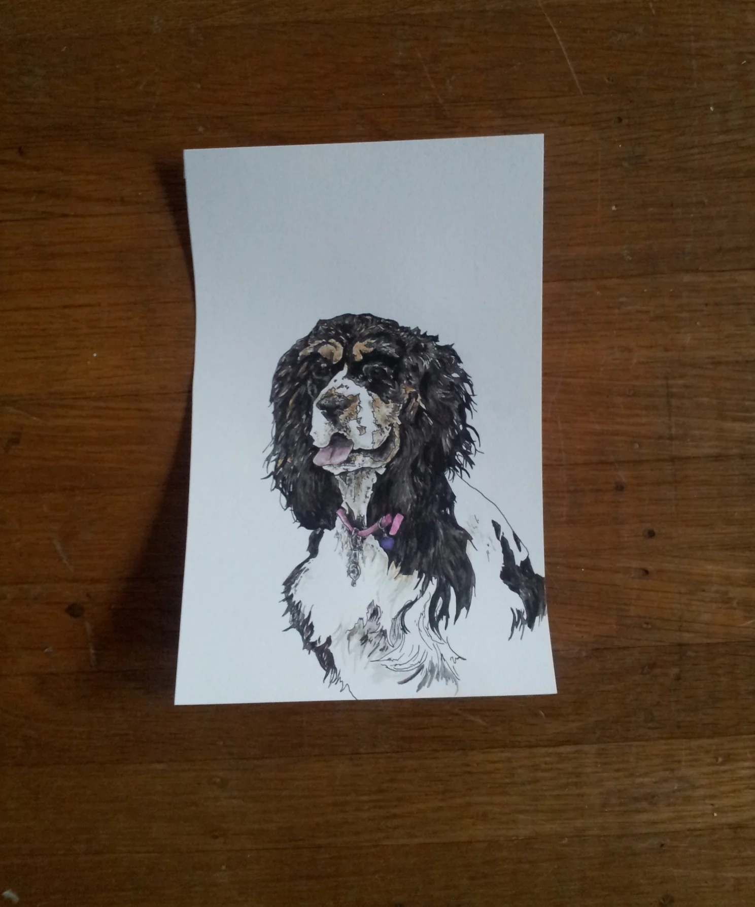 20131113_163001.jpg
