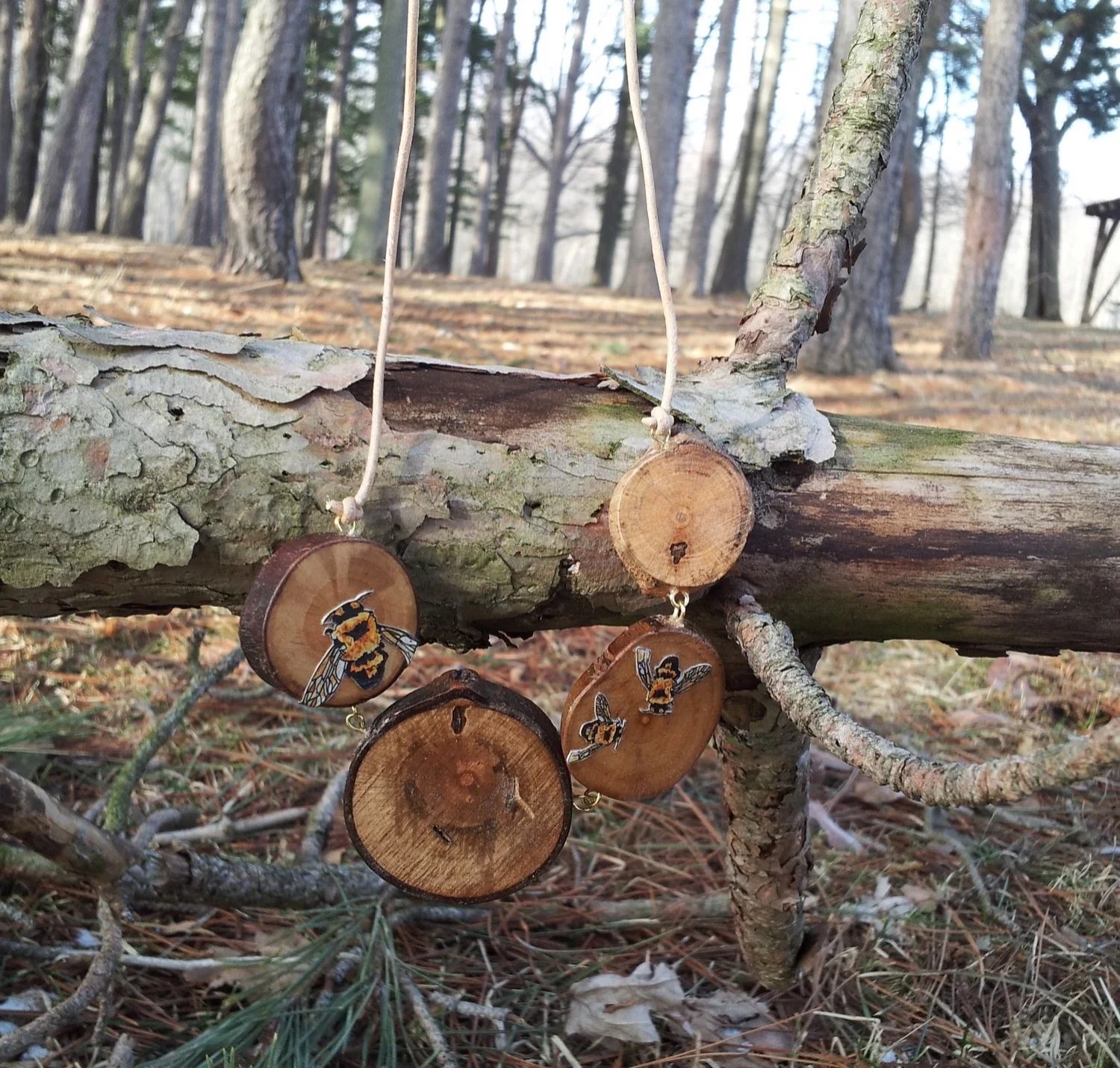 20140324_170534.jpg