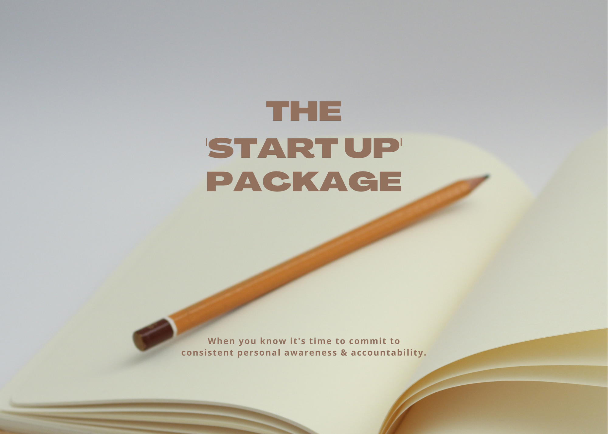 item image for start up.png