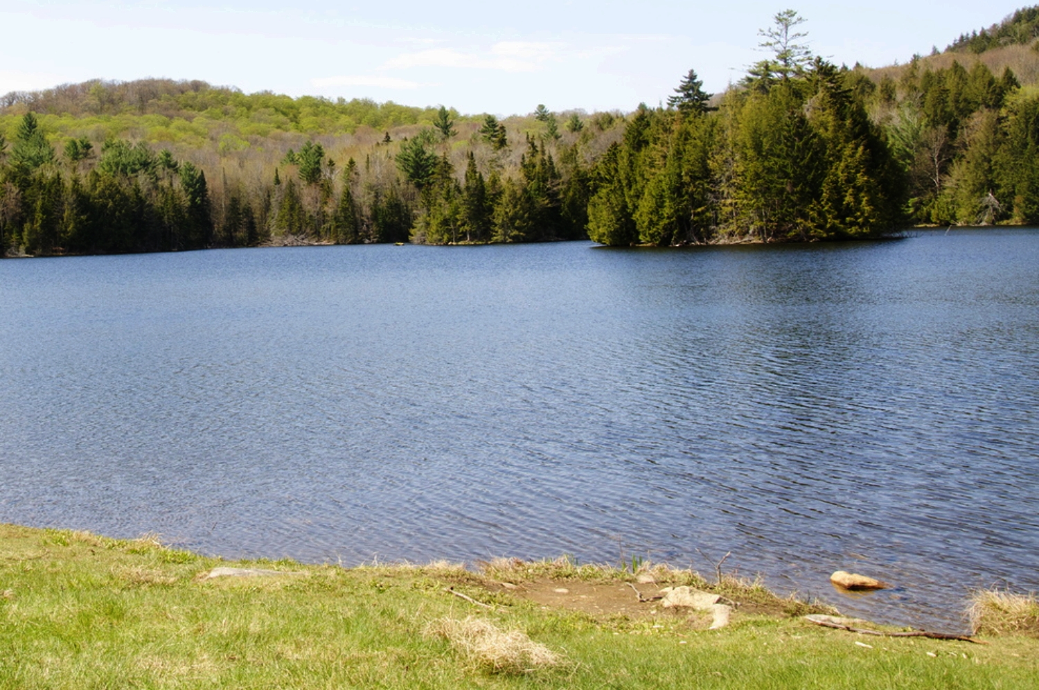 Knapp Brook Pond