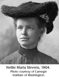 Dr. Stevens was born 155 years ago in Cavendish on July 7. In honor of her birthday she received a "Google Doodle."