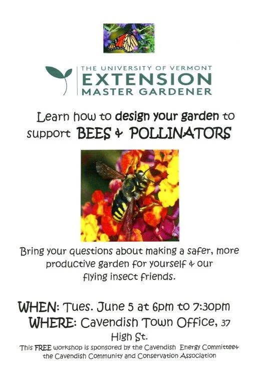 bee& pollinators poster.jpg
